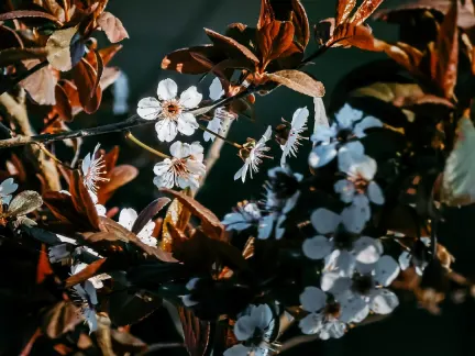 글리머 카지노 모바일 앱